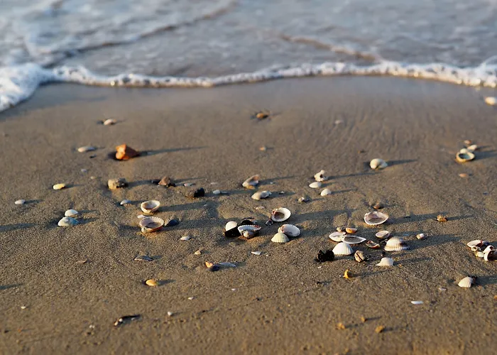 Διαμέρισμα Welcoming Flat With Private Garden-beahost